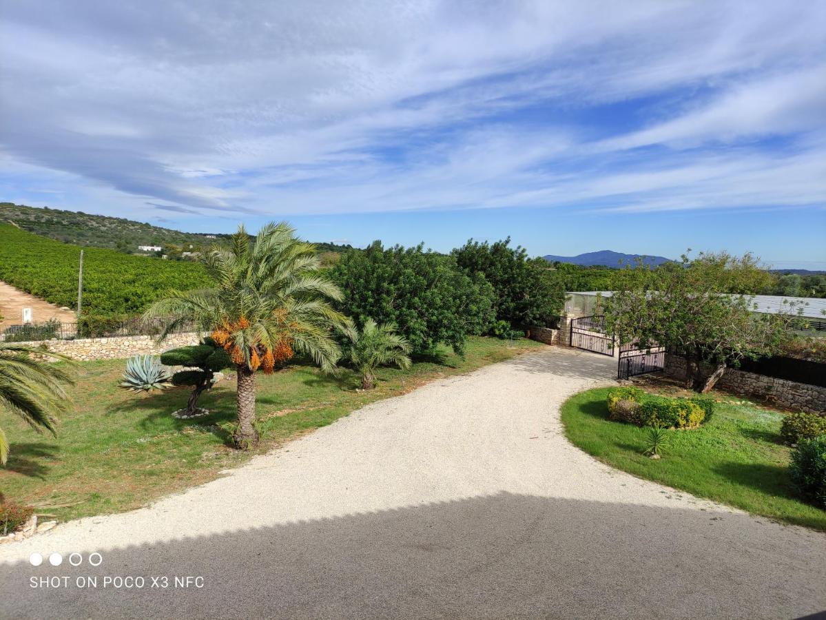 Finca Tierra Roja Cálig Buitenkant foto
